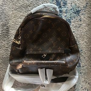 Faux Louis Vuitton Backpack